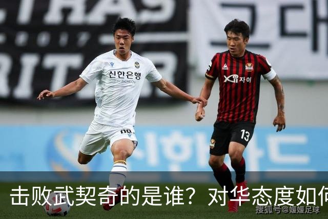 击败武契奇的是谁？对华态度如何？下一步中塞关系怎么走？