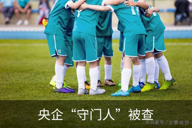 央企“守门人”被查