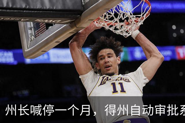 州长喊停一个月，得州自动审批系统还在盖章