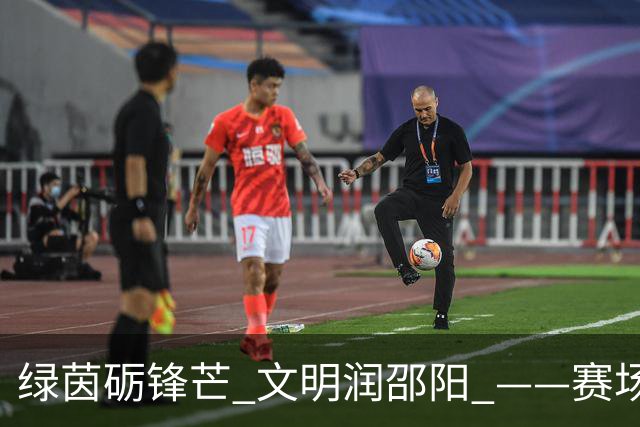 绿茵砺锋芒 文明润邵阳 ——赛场逆势突围挺进八强 文明拼搏激活城市奋进新动能