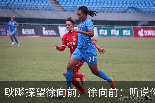 耿飚探望徐向前，徐向前：听说你把杨得志和罗瑞卿都弄到沟里了？