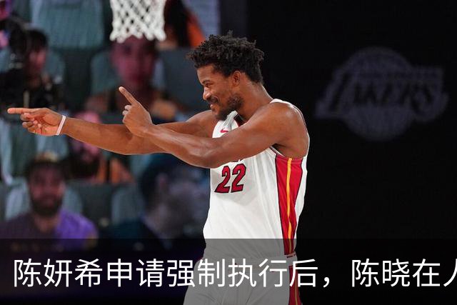 陈妍希申请强制执行后，陈晓在人民日报发文，卓伟曝俩人离婚原因