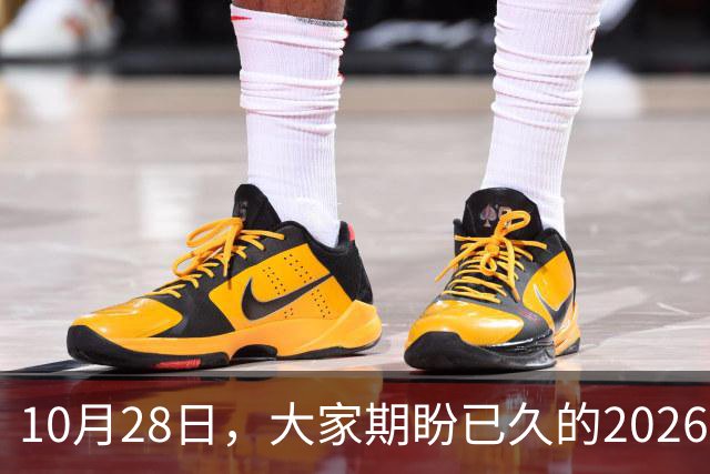 10月28日，大家期盼已久的2026退休养老金，究竟涨还是不涨？