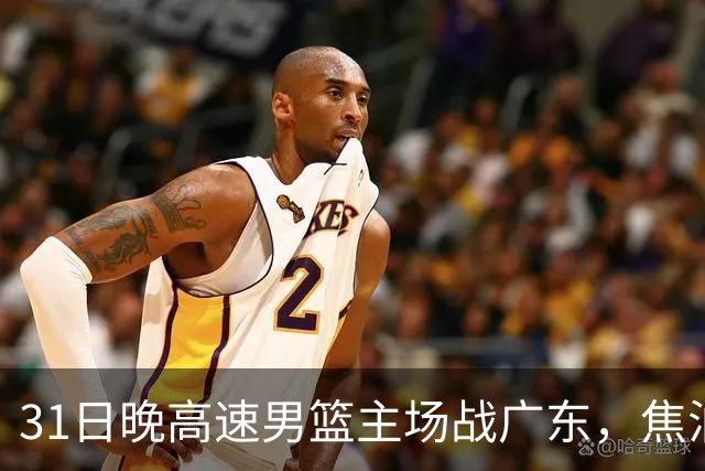 31日晚高速男篮主场战广东，焦泊乔受伤，对手内线有望成突破口